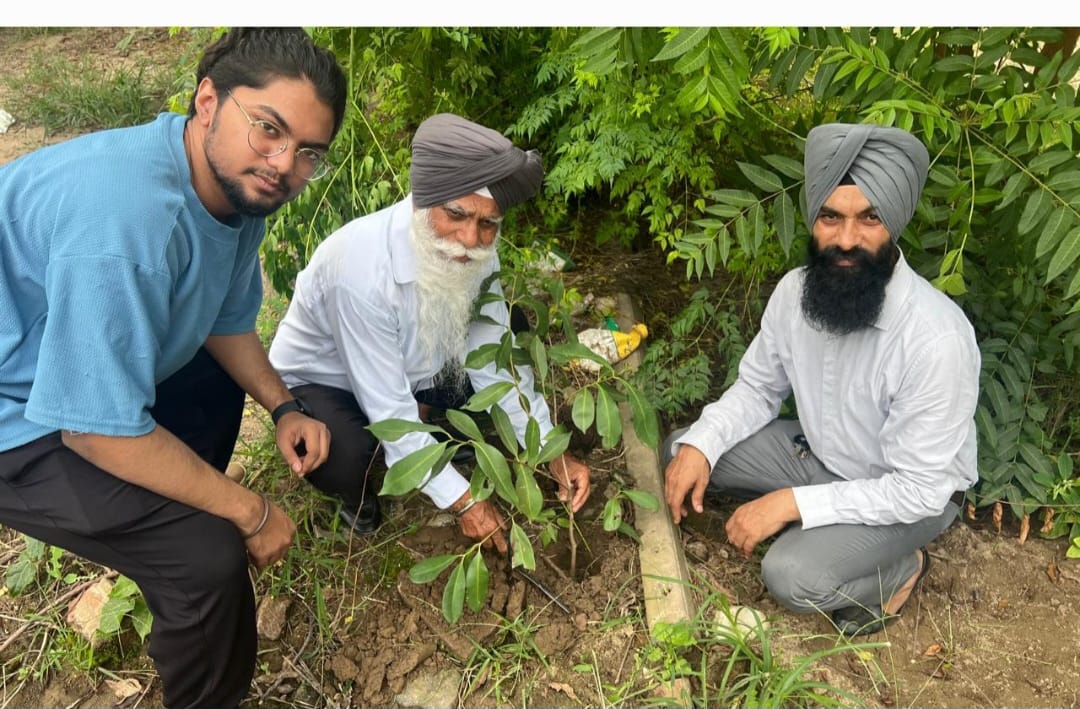 सरदार अवतार सिंह पूर्व सरपंच सातनौर ने अपने जन्मदिन पर 75 पौधे लगाए